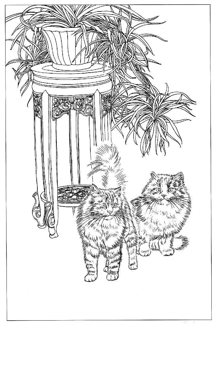工笔白描图工笔画素材《猫白描图》0014工笔画素材《猫白描图》
