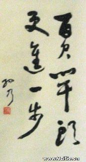 百尺竿头更进一步