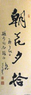 朝花夕拾（费新我）
