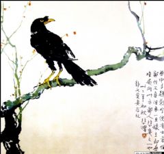 乌鸦