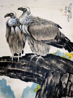 秃鹫