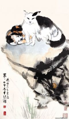 梦梦