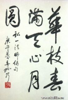 华枝春满