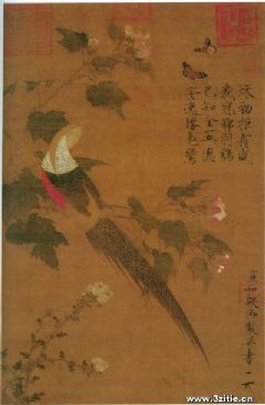 芙蓉锦鸡图轴