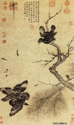 《枇杷山鸟图》