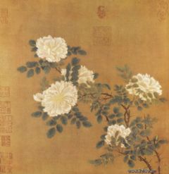 《白蔷薇图》