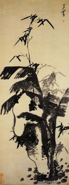 《蕉石图》