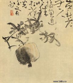 《石榴图》