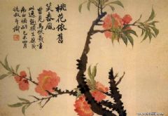 花卉图册(之六)