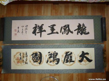 大展宏图 龙凤呈祥