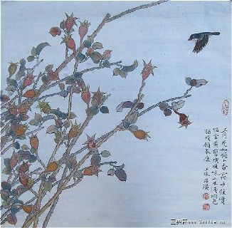 《工笔国画金樱子》中国农民书画研究会会员、湖南省美术家协会会员、民协副主席作品