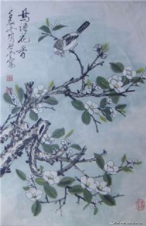 花鸟