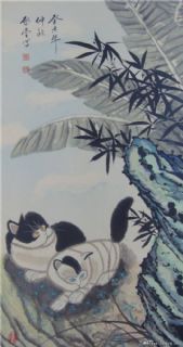 双猫