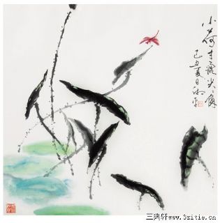 小荷