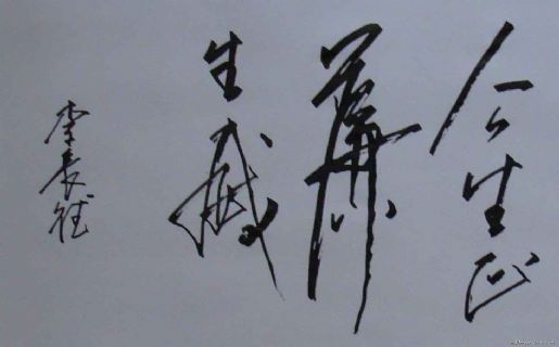 李长德作品