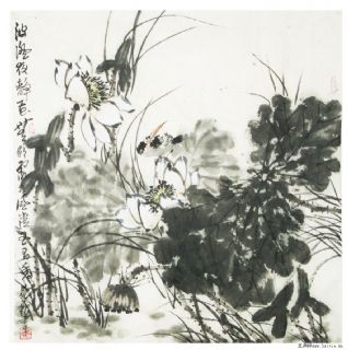花鸟画