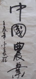 李长德作品