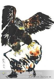 雄鹰展翅