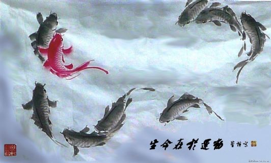 生命在于运动