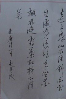 李长德书法作品