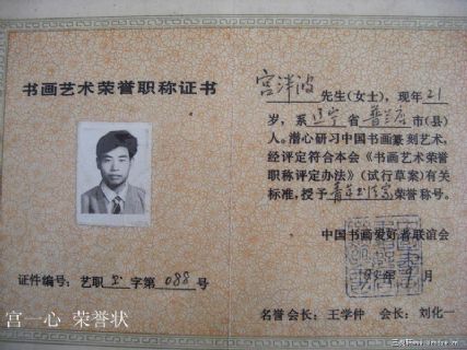 宫一心 获奖荣誉状