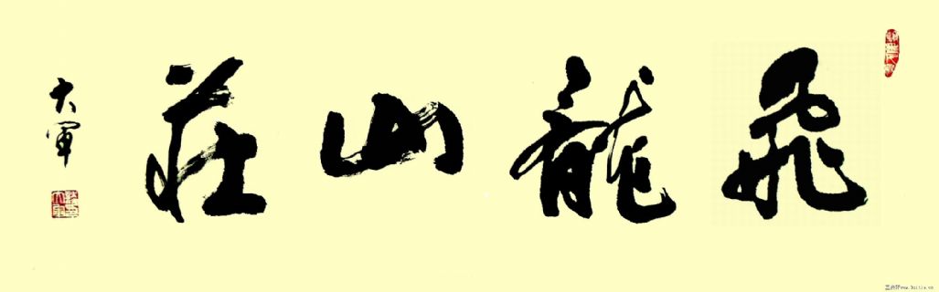 飞龙山庄