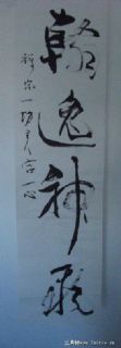翰逸神飞