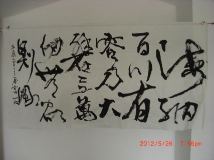 中国现代书法名家 宫一心 海纳百川有容乃大 壁立万仞无欲则刚