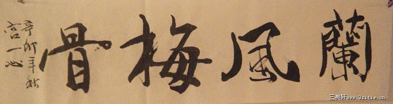 兰风梅骨