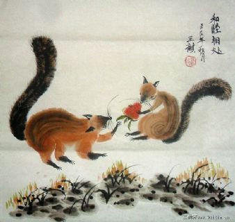 松鼠————和睦相处