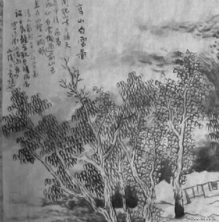 高山白云图局部6