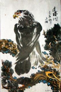 松鹰图