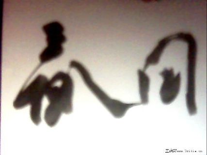 乌龟三部曲书法