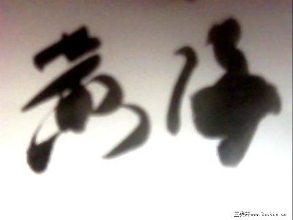 舒晓天乌龟三部曲书法