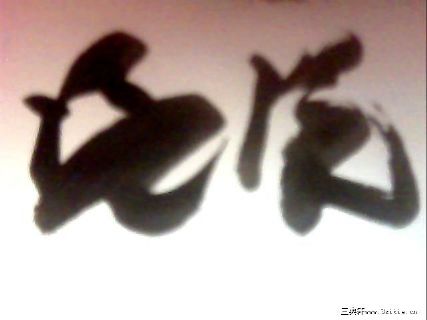 舒晓天乌龟三部曲书法