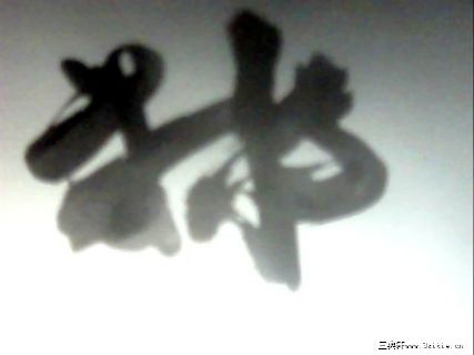 舒晓天乌龟三部曲书法