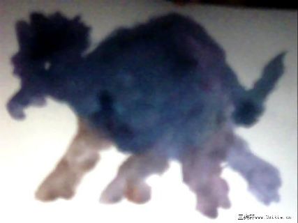 舒晓天乌龟三部曲绘画