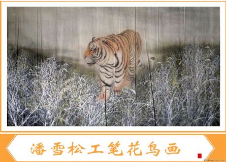 虎1