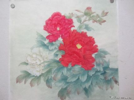 牡丹