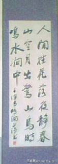 鸟鸣涧