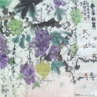 斗方葡萄