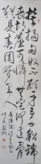 安庆戴卫草书唐诗陇西行