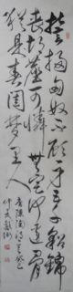 安庆戴卫草书唐诗