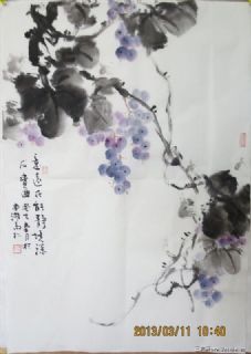 花鸟