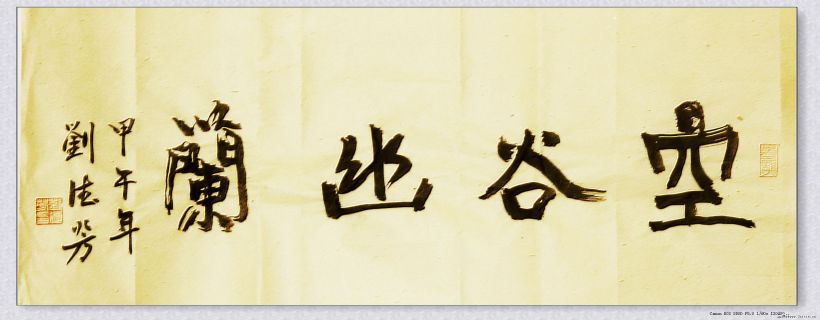 魏行——空谷幽兰