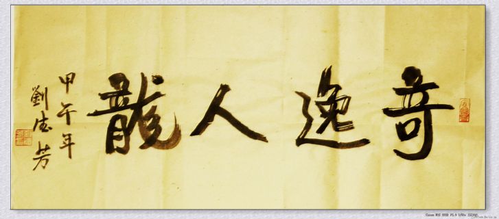 魏碑行书——奇逸人龙