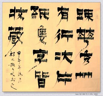 根笔漆书——疏花片纸联