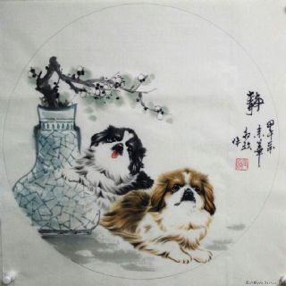 张红玫国画犬
