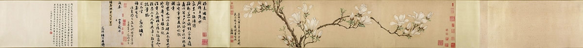 明 文徵明 白玉兰图卷27.9x133
