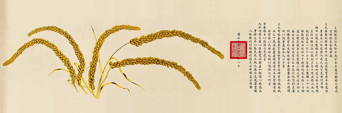 （玄）清 郎世宁 瑞谷图